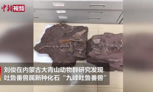 中国发现2.5亿年前九峰吐鲁番兽  网友：很想知道什么样呢