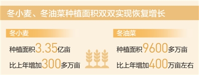 确保粮食播种面积稳中有增——春耕备耕由南向北展开