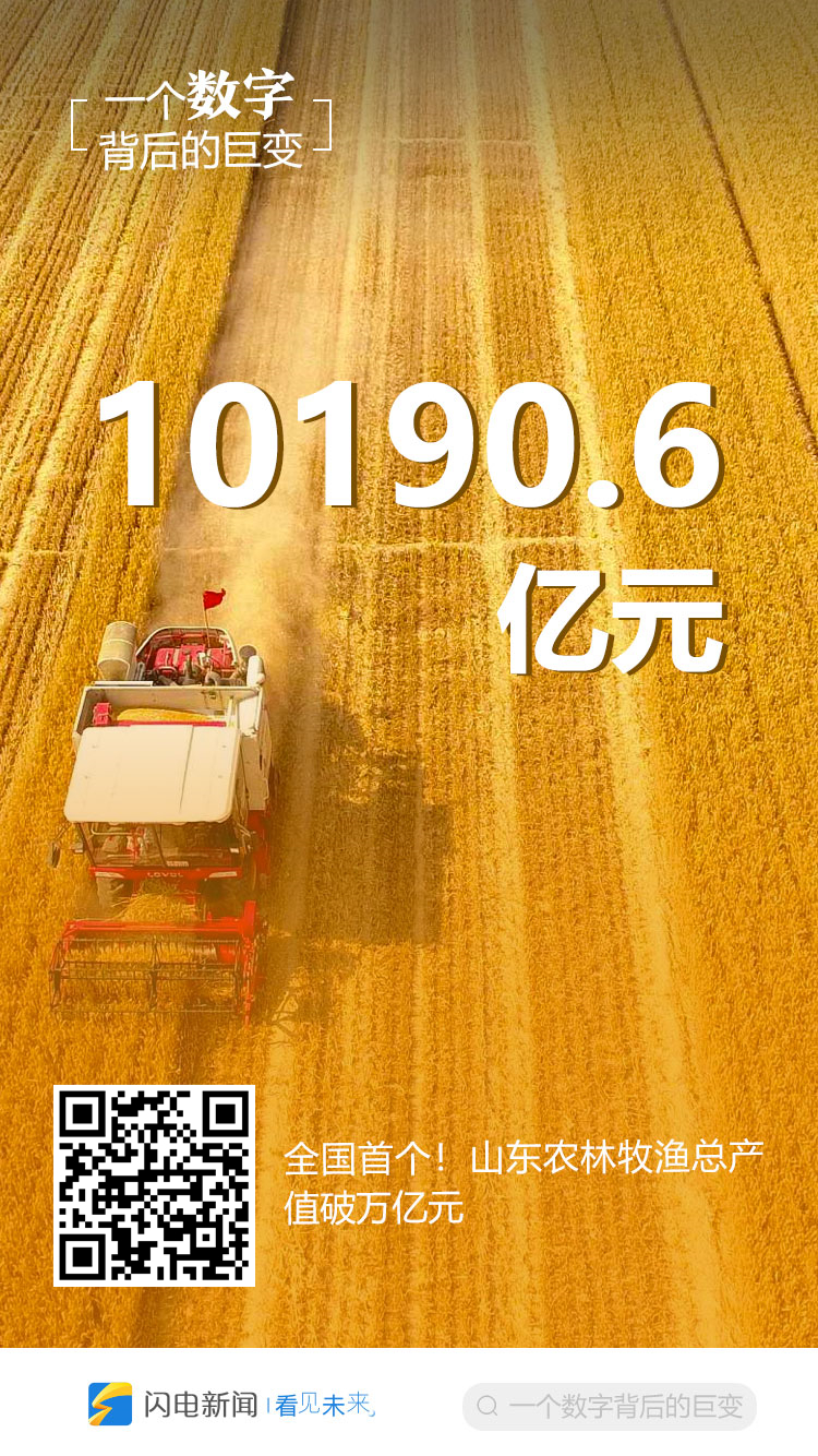 一个数字背后的巨变③｜10190.6亿元！幸福小康入画来，看乡村振兴“齐鲁答卷”