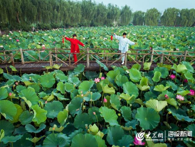 委员建议鼓励离退休人员告老还乡 助力乡村人才振兴山东已有这些高招！