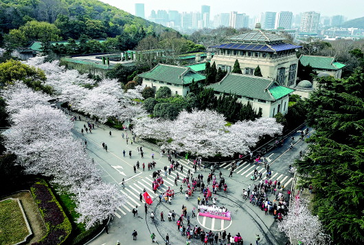 春回荆楚，抗疫英雄樱花树下再相逢