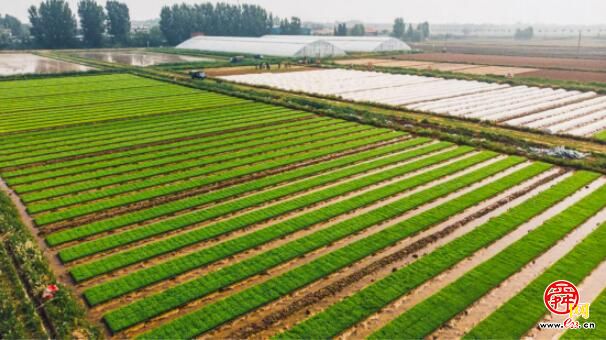 学习全国两会精神  “泉水人家”大家谈