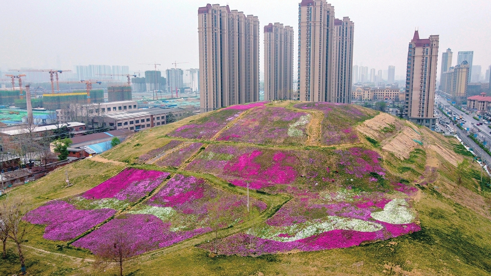 从前渣土山，如今鲜花海