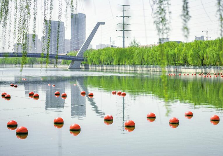 百个红球现身小清河到底有啥用?