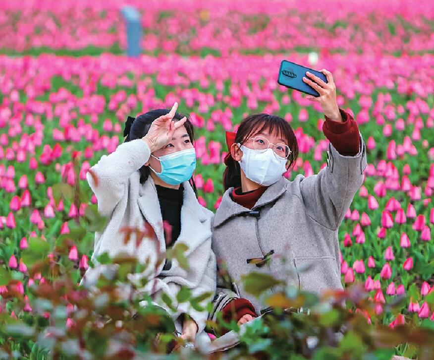 【我们的节日·清明】春半花盛踏青时