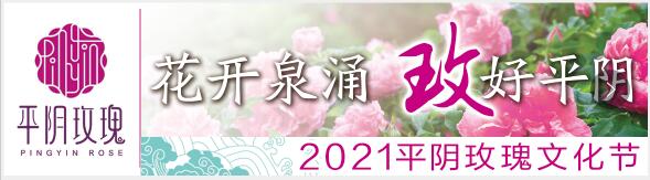 济南再添一处花海打卡地 来平阴“东方玫瑰花乡”拍大片