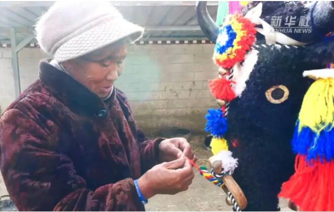 这些西藏姑娘，为什么叫卓玛？答案太美了……