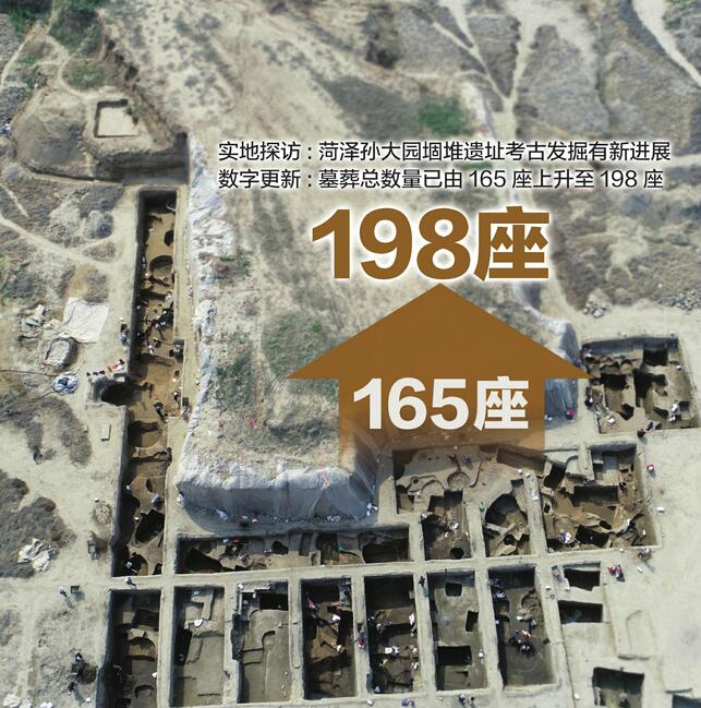 实探菏泽孙大园堌堆遗址考古发掘现场 墓葬总体数量更新为198座