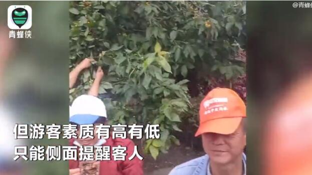 天门山景区游客暴力采摘果子引热议