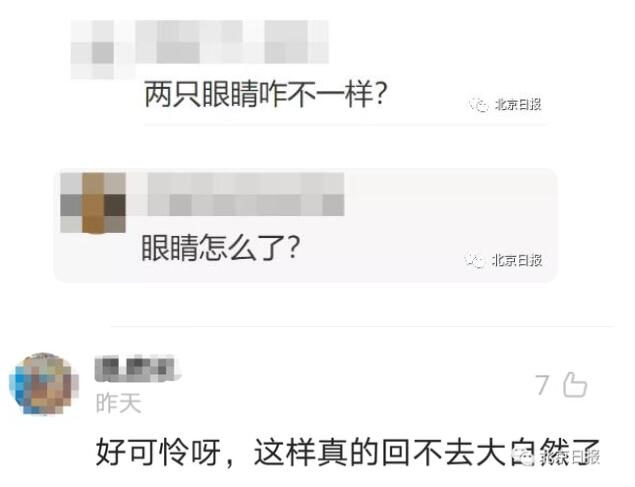 闯村伤人老虎被命名完达山1号 入村的东北虎眼睛已无大碍