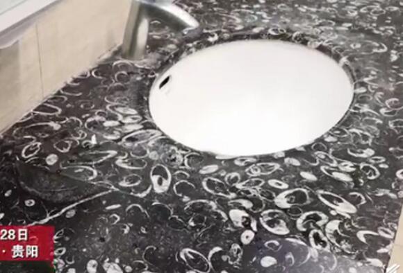 贵阳机场厕所洗手池布满化石 鉴定为3亿年前鸮头贝！