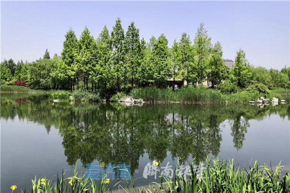 本周济南晴暖冲30℃!五一假期中段迎转折 雷雨大风气温降