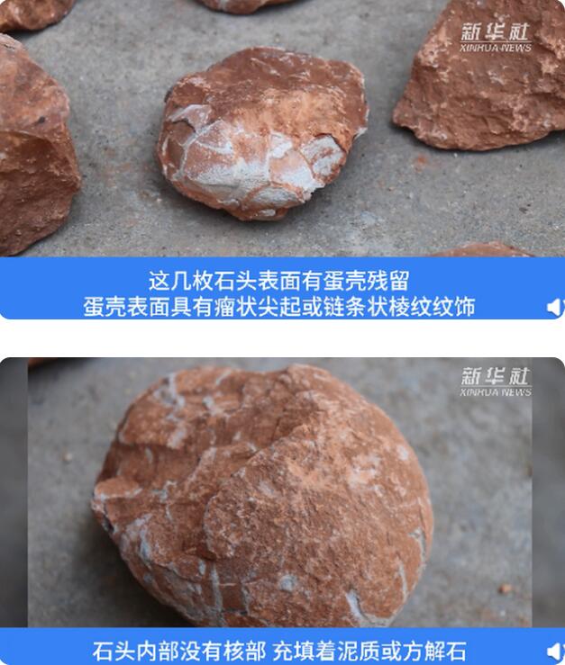 【震惊】江西工地挖出6600万年前恐龙蛋化石 长得像牛肉是咋回事？
