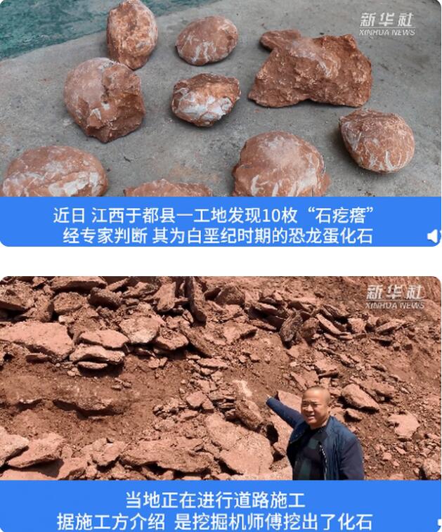【震惊】江西工地挖出6600万年前恐龙蛋化石 长得像牛肉是咋回事？