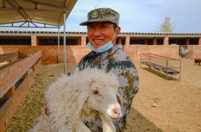 民族要复兴乡村必振兴铁人王旭智发羊财