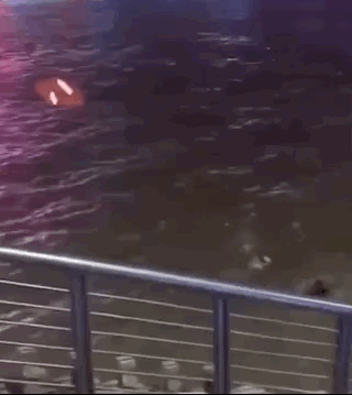 外滩跳江救人的兵哥哥找到了，上海外滩游客落水武警跳水救人上热搜