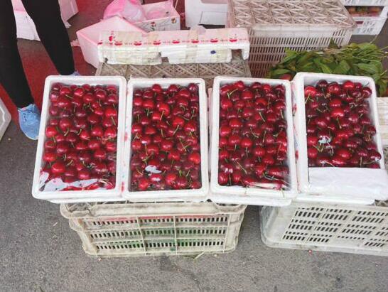 4月没实现的“樱桃自由”，5月就还给你 百元樱桃季已过 15-25元成“主流” 本地果卖10元/斤