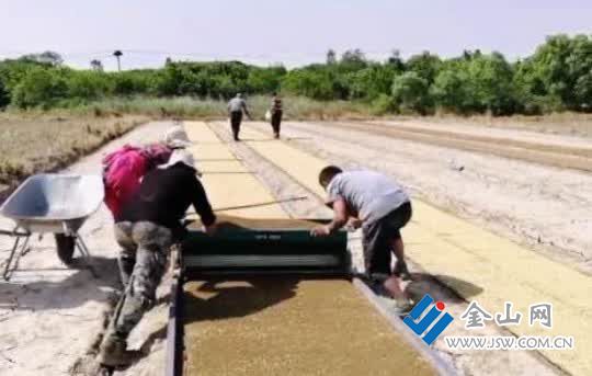 奋斗百年路 启航新征程·同心奔小康丨村民当股东开心拿分红 群众生活“芝麻开花节节高”