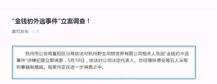 “金钱豹外逃事件”立案调查