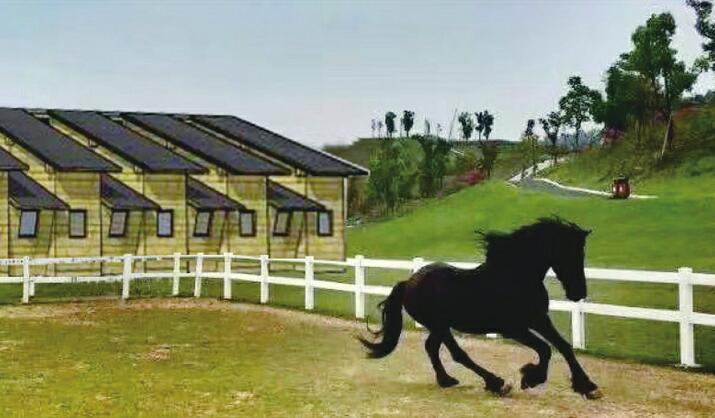 济南这所实验学校，到底在实验啥？