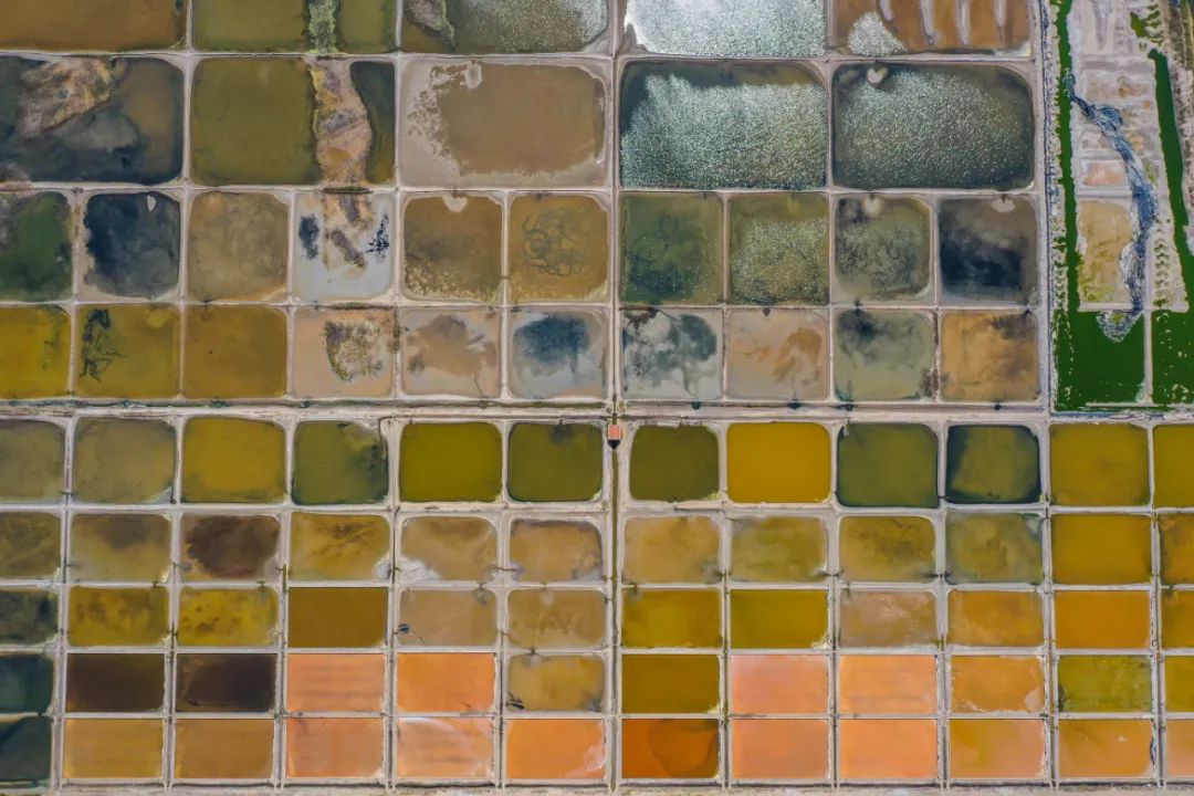 2863万次阅读！荣成“眼影盘”又火了！