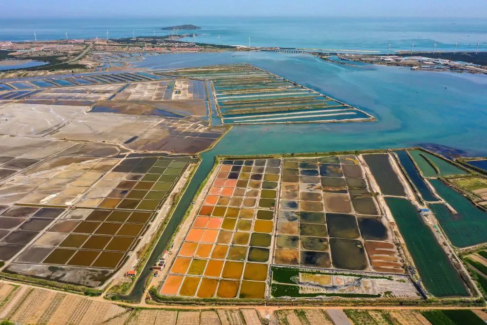 2863万次阅读！荣成“眼影盘”又火了！