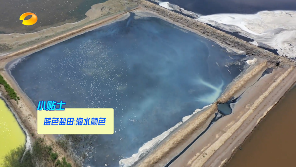 2863万次阅读！荣成“眼影盘”又火了！