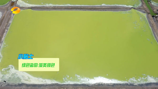 2863万次阅读！荣成“眼影盘”又火了！