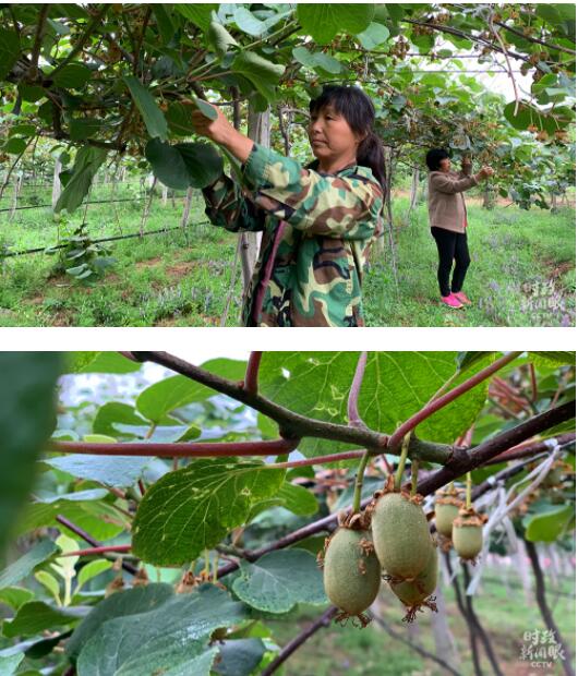 时政新闻眼丨习近平再看南水北调，关注了哪些重要问题？