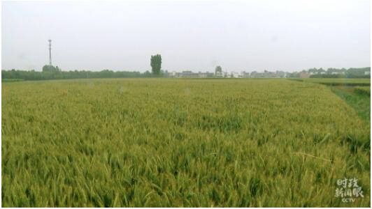 时政新闻眼丨习近平再看南水北调，关注了哪些重要问题？