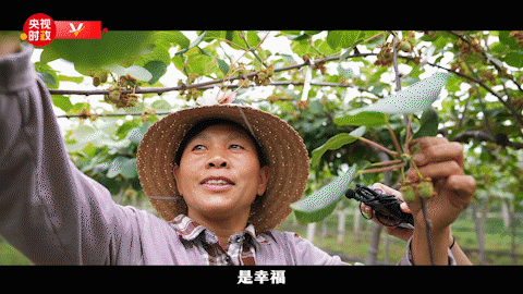 习近平河南行丨“生活富起来”——走进邹庄丹江绿色果蔬园基地