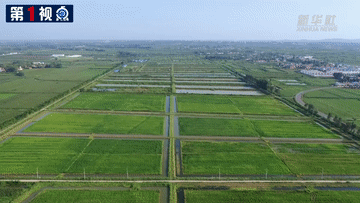 第1视点丨悠悠南水情更长