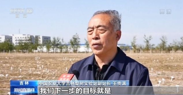 沿着高速看中国丨“梨树模式”的“一田一站”为黑土地助力加“油”