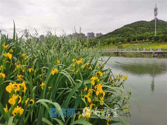 【环保督察在行动】济南市推“一河一策”、雨污分流、管网清淤措施
