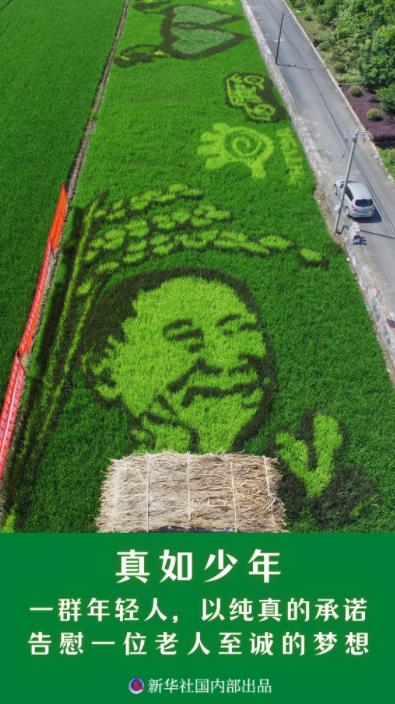 新华述评：禾下乘凉梦 一梦逐一生——怀念袁隆平