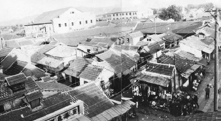 “洋洋大观”大观园