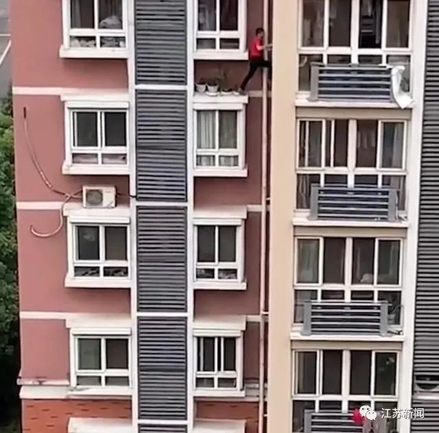 男子爬到6楼窗台外浇花！网友：简直用生命养花