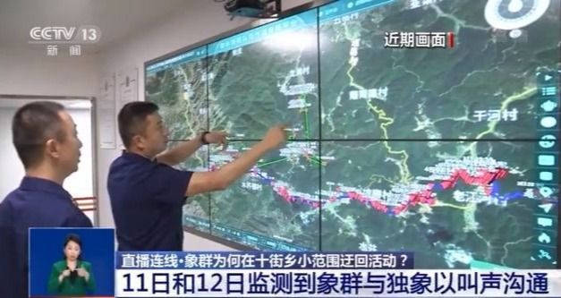 迂回近一周，大象“旅行团”为何不走了？