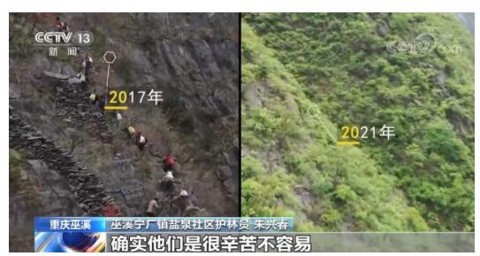 【重返现场看变化】重庆巫溪：昔日石头山今朝绿满坡 离不开陡崖种树人