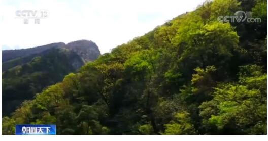 【重返现场看变化】重庆巫溪：昔日石头山今朝绿满坡 离不开陡崖种树人