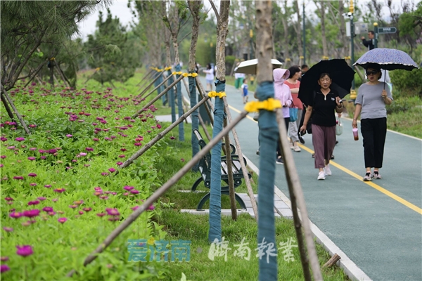 济钢中央森林公园成市民打卡“新宠”