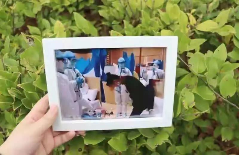 从医患到师生！“火爆全网的缘分”收获完美结局