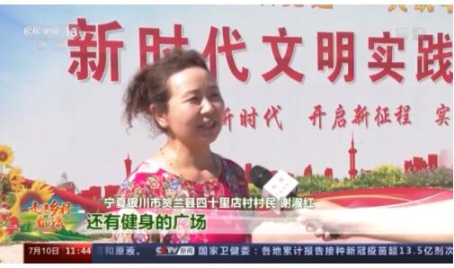 走进乡村看小康丨稻田里有位“鸭司令” 四十里店村找到致富新路径