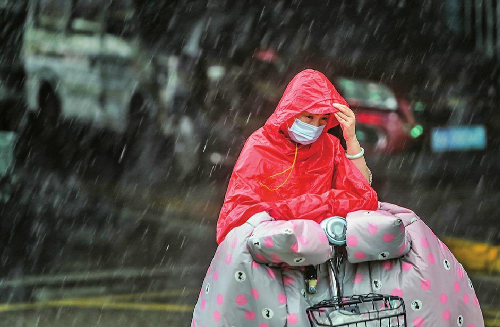 @济南人:出门带好雨具 今起到下周一预报每天都有雷阵雨