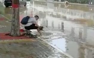 【风雨同舟 阳光同行】阳光人寿快速完成首例河南暴雨灾害案件赔付