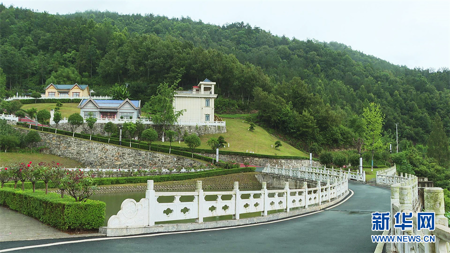 走进乡村看小康