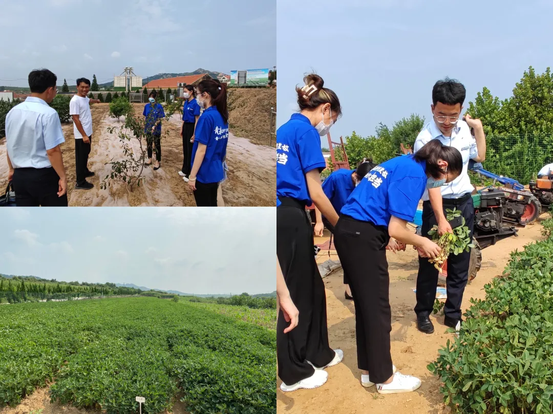 建行威海分行：组织暑期实习生下乡实践活动——走进虎山农业种植专业合作社