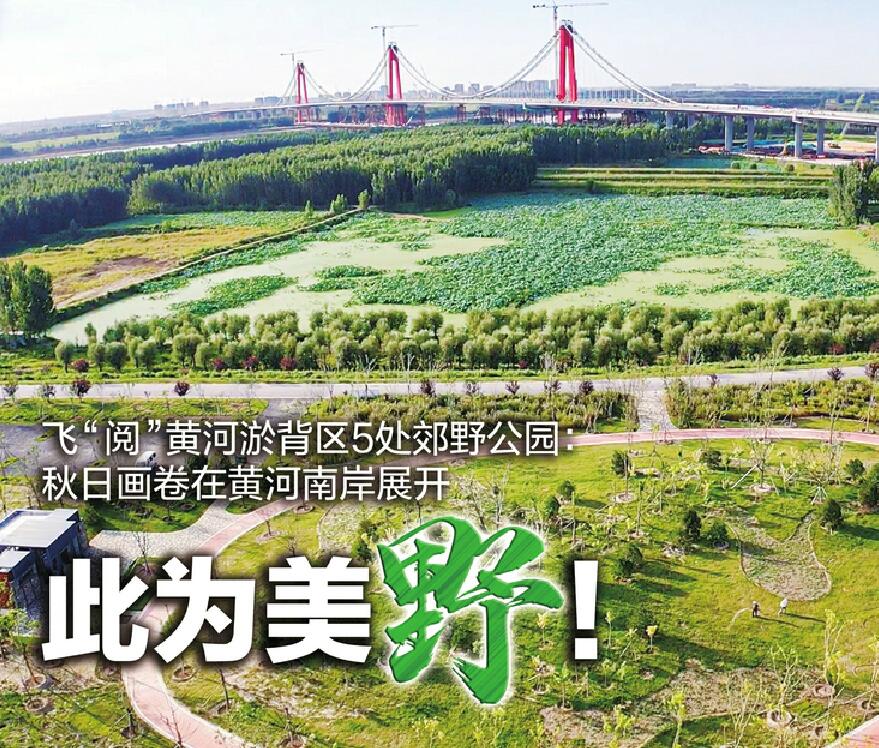 俯瞰济南郊野公园 林间藏着野趣