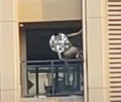 【细思极恐】大叔忘带钥匙从2楼徒手爬上14楼，现场画面曝光惊呆网友