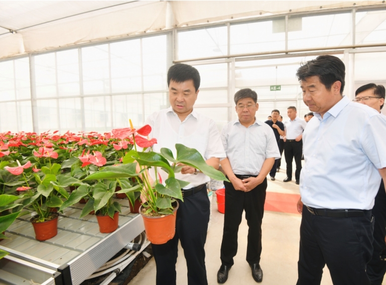 济南花卉园艺博览会将于9月28日开幕：启用全新展馆 商河元素贯穿场景搭建 